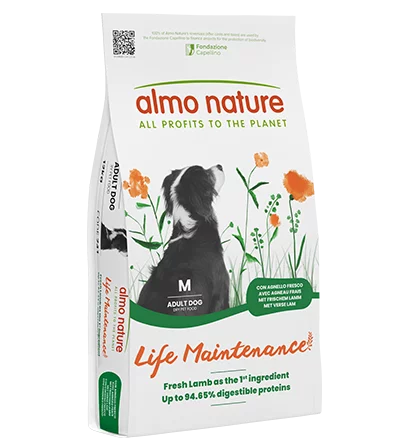 Almo Nature Holistic Maintenanceラム 2kg4袋 Almo Nature Life Maintenance with Fresh Lamb M